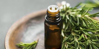 گیاه رزماری و ریزش مو