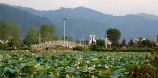 تالاب کیاکلایه لنگرود