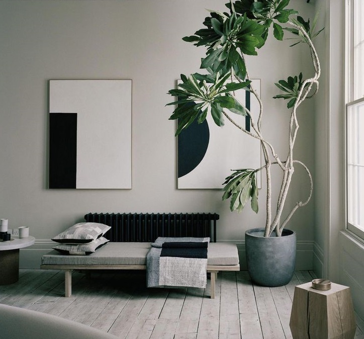 گیاه در آپارتمان - دکوراسیون مینیمال