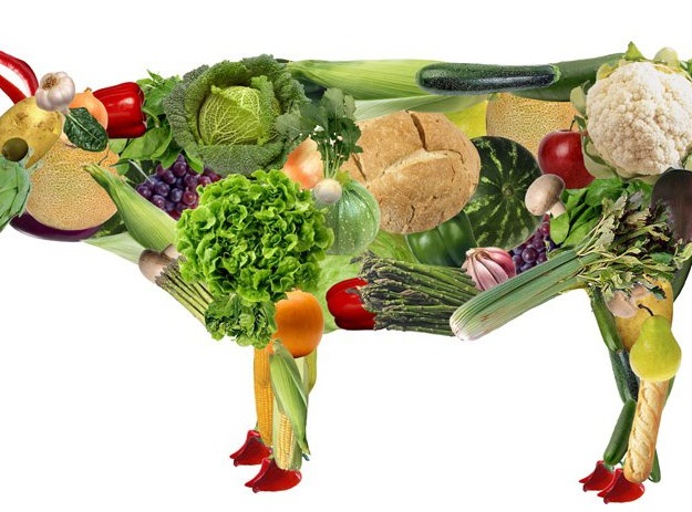 مصرف سبزی به جای گوشت - فواید گیاه خواری