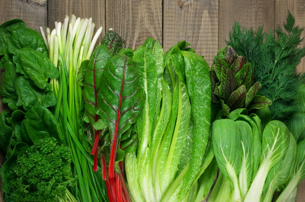 سبزیجات - درمان پوکی استخوان