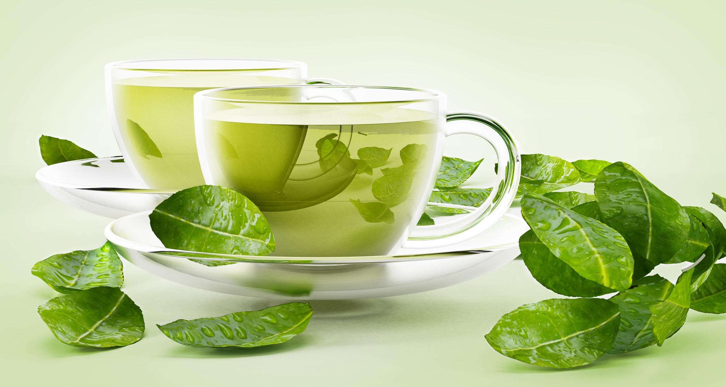 چای سبز - خواص چای سبز