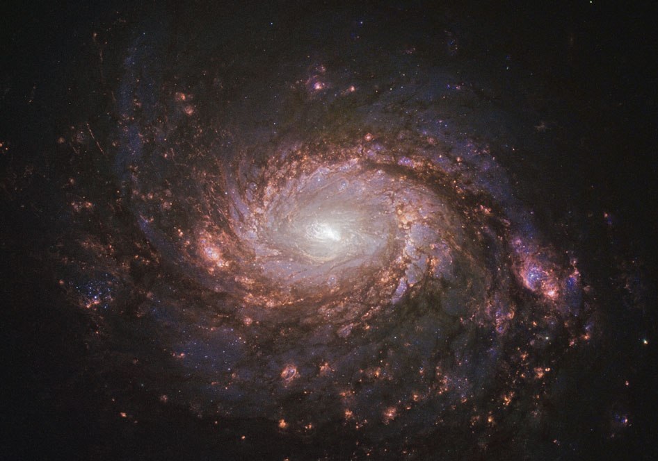 کهکشان مارپیچی مسیه 77 - تصاویر تلسکوپ هابل