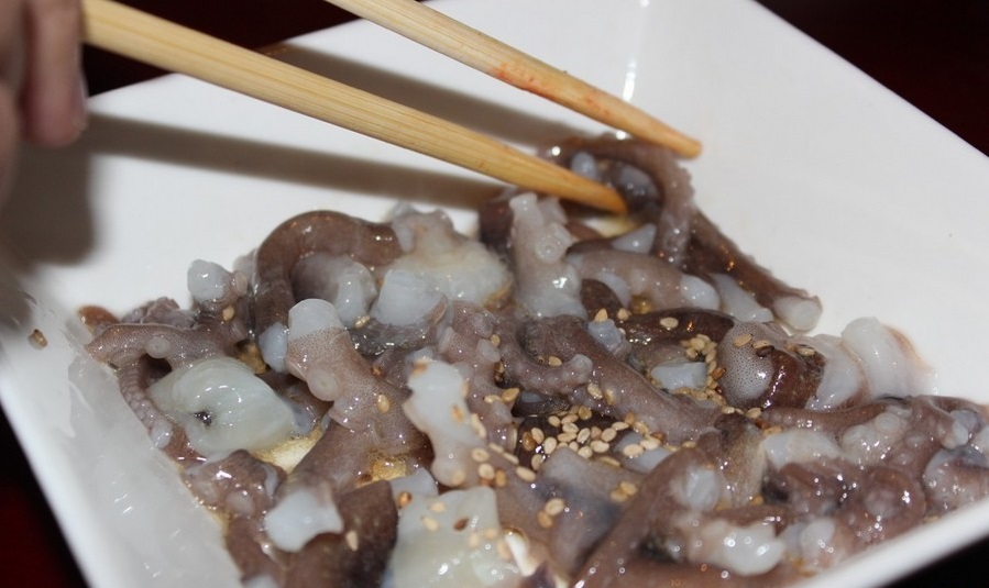 خوردن اختاپوس زنده - عجیب ترین غذاهای دنیا