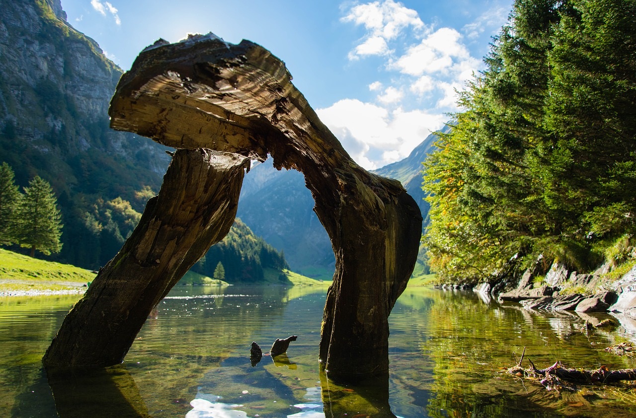 طبیعت زیبا - عکس طبیعت زیبای سوئیس