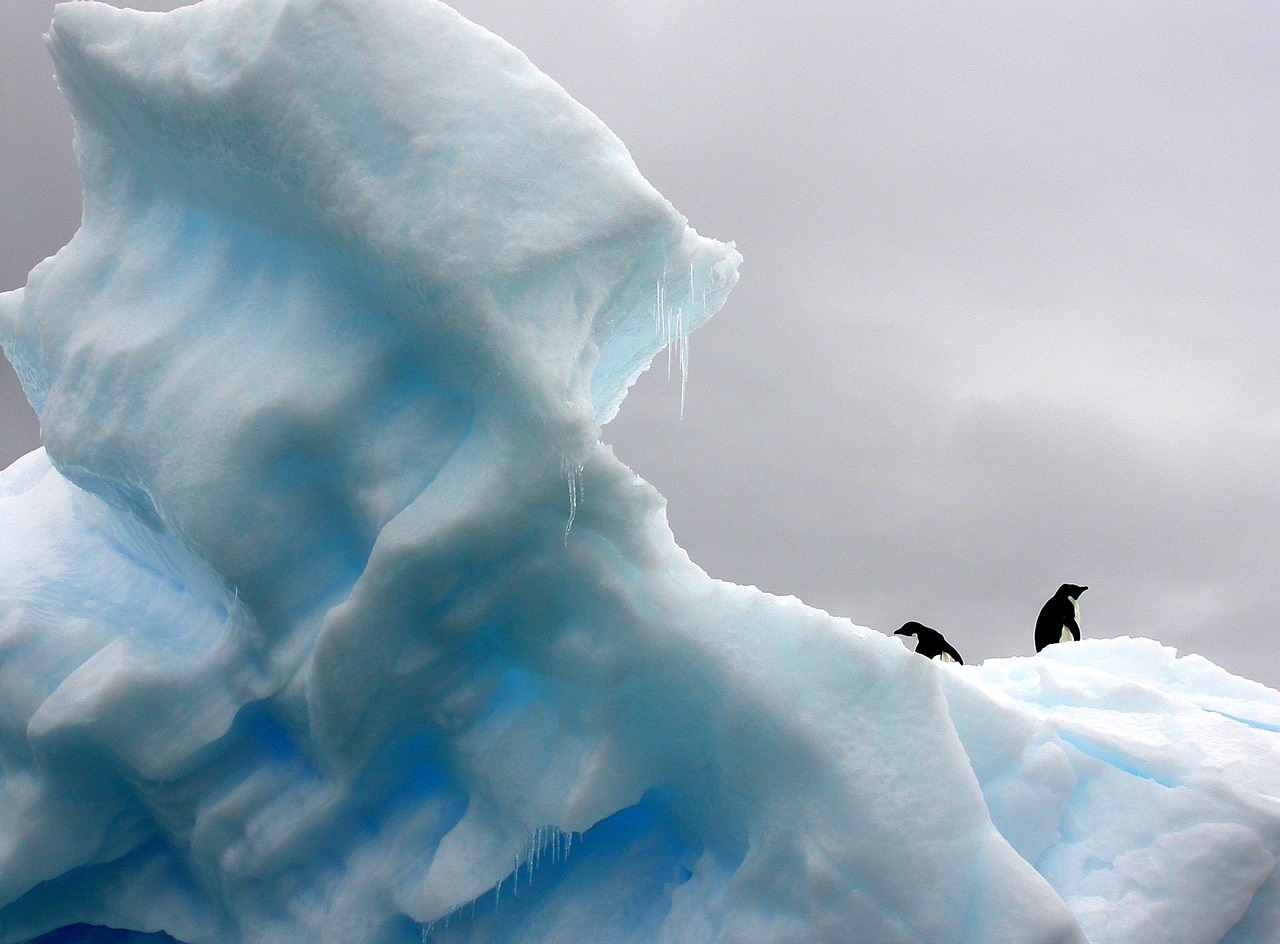 برف - عکس قطب جنوب