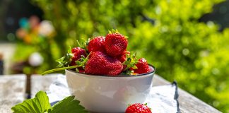 خواص توت فرنگی