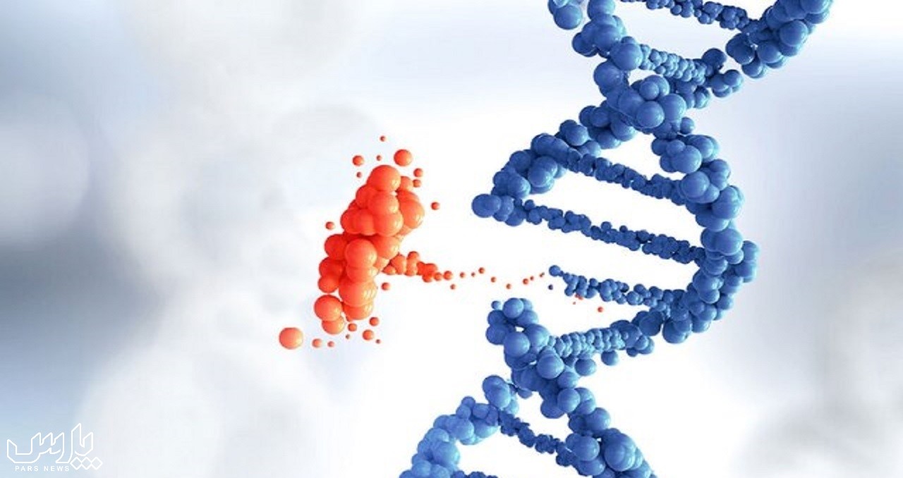 ژن - درمان بیماری های ژنتیکی