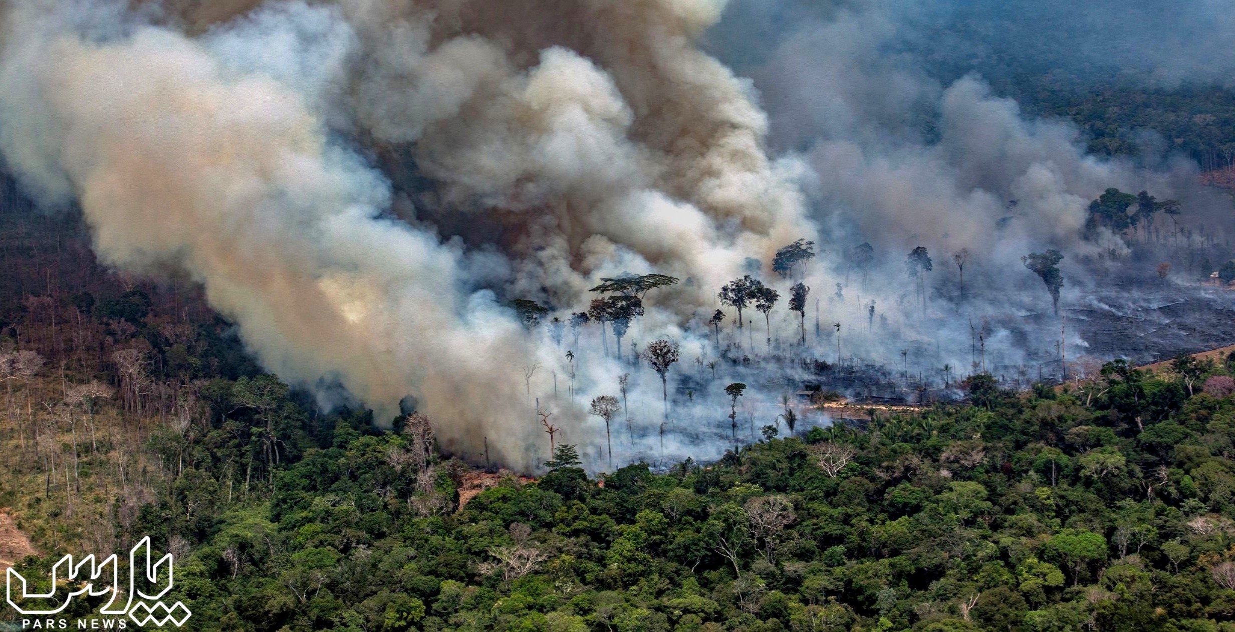 نابودی جنگل ها - جنگل آمازون