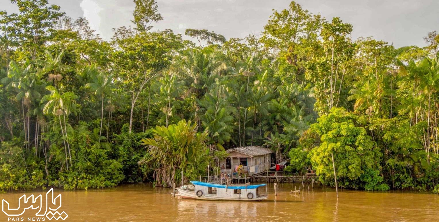 رودخانه ی آمازون - جنگل آمازون