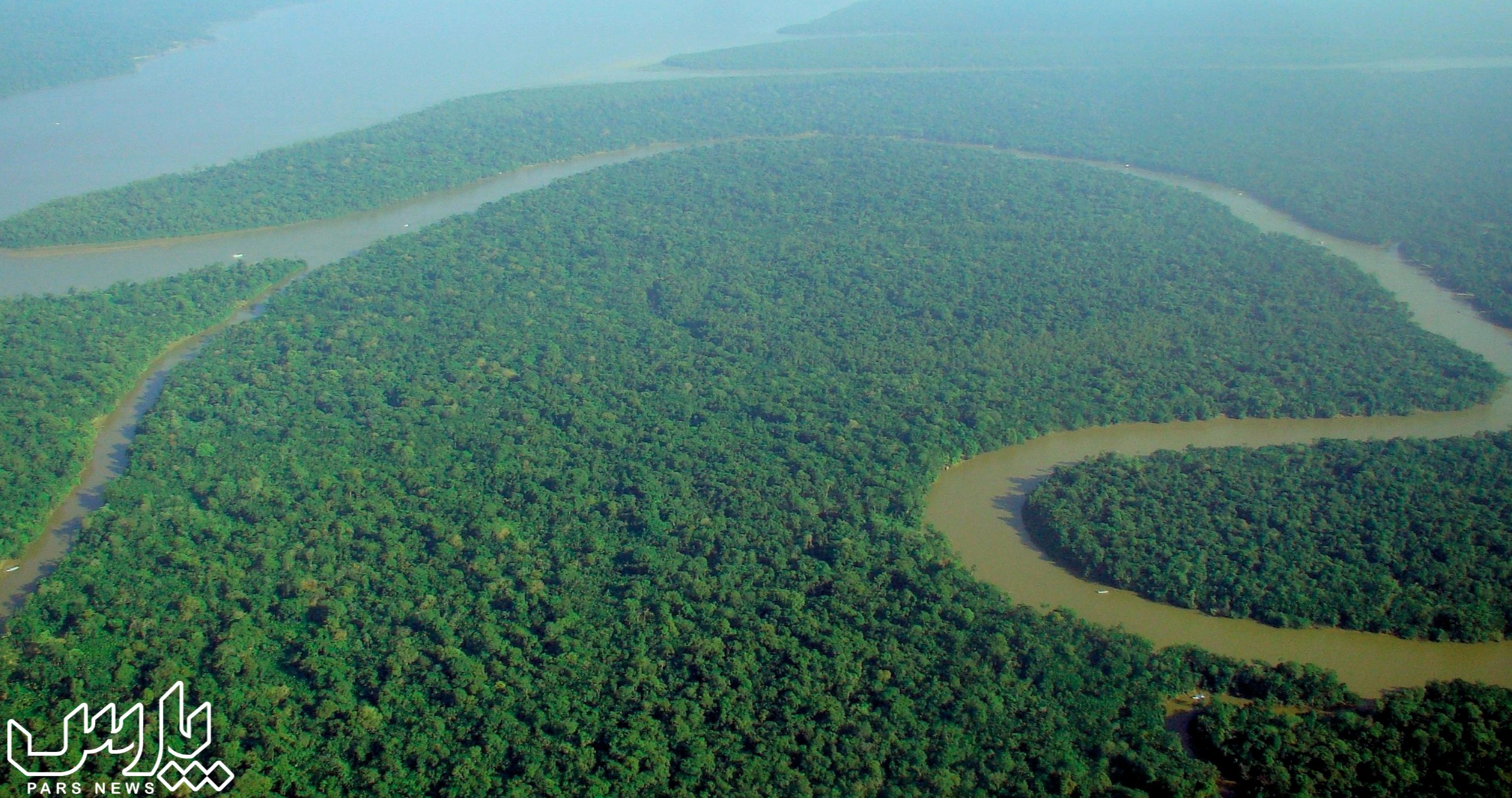 بزرگ ترین جنگل دنیا - جنگل آمازون