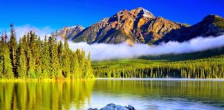 عکس طبیعت با کیفیت بالا