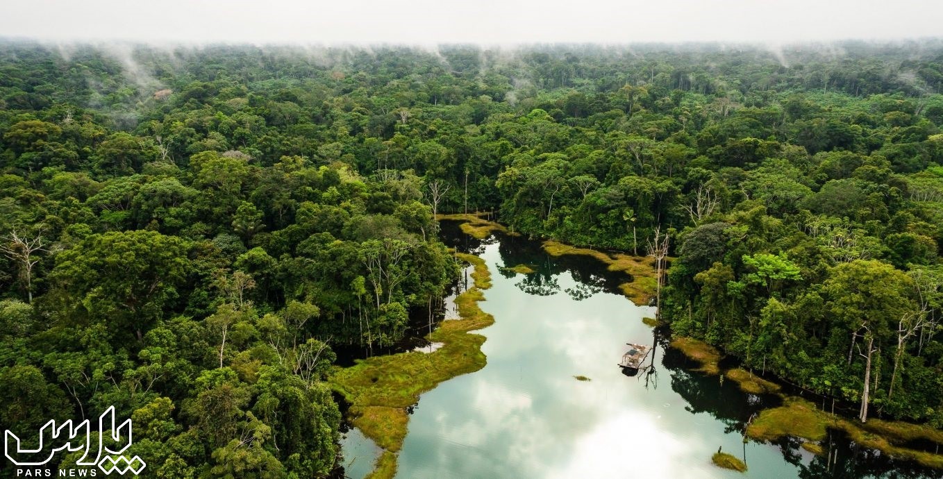 جنگل آمازون کجاست - جنگل آمازون