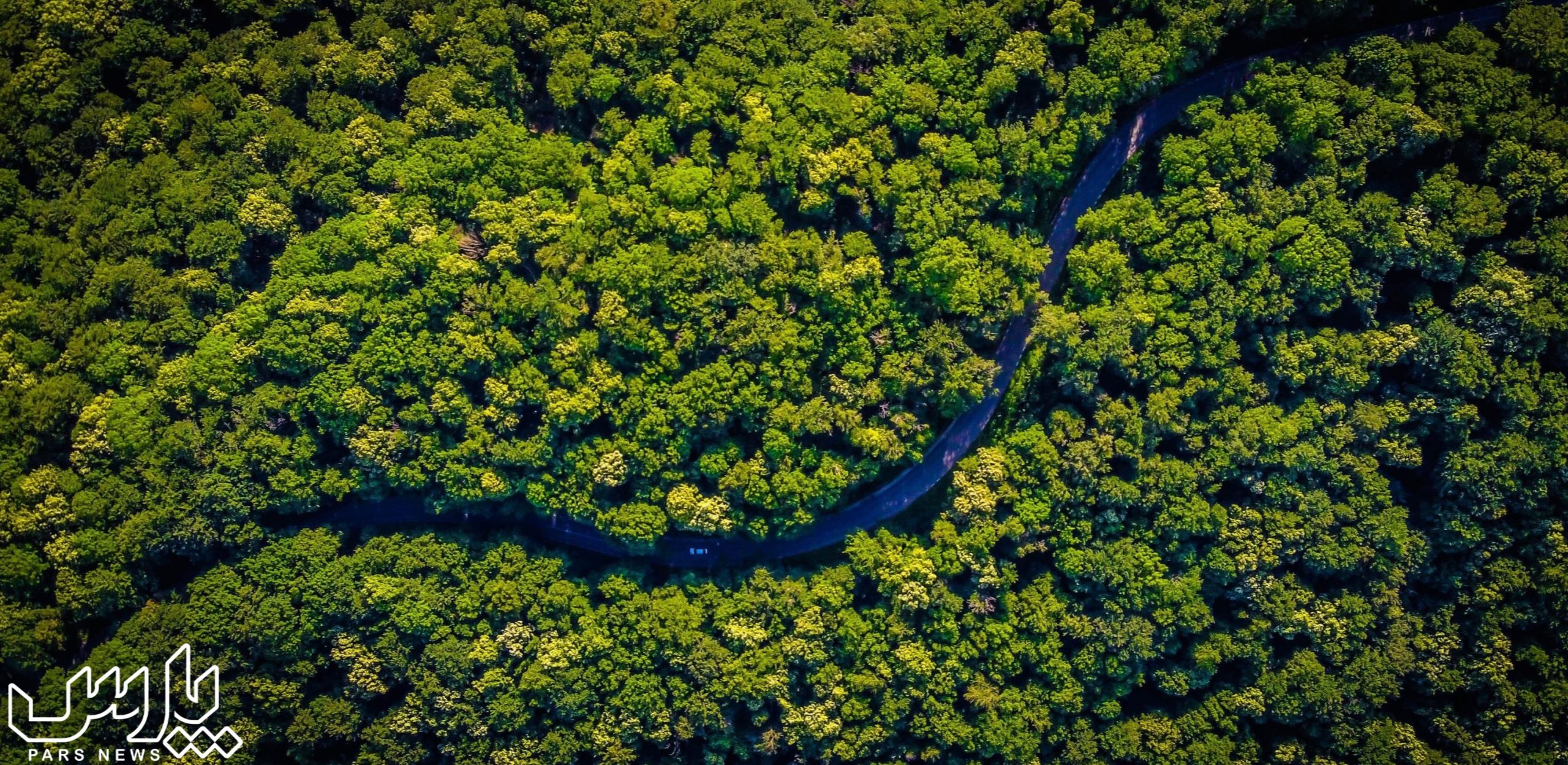 نمای کلی جنگل آمازون - جنگل آمازون