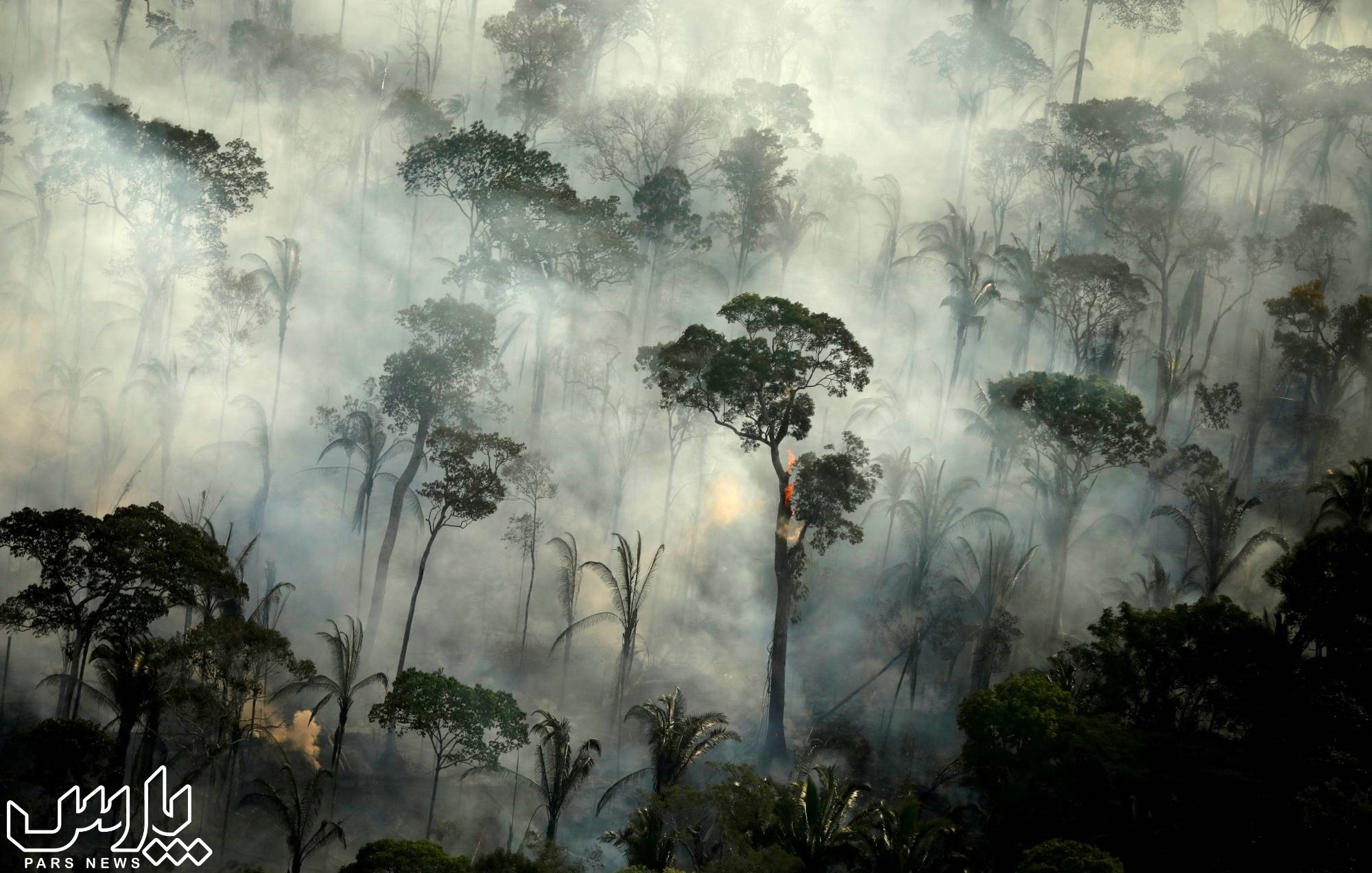 آتش سوزی جنگل - جنگل آمازون