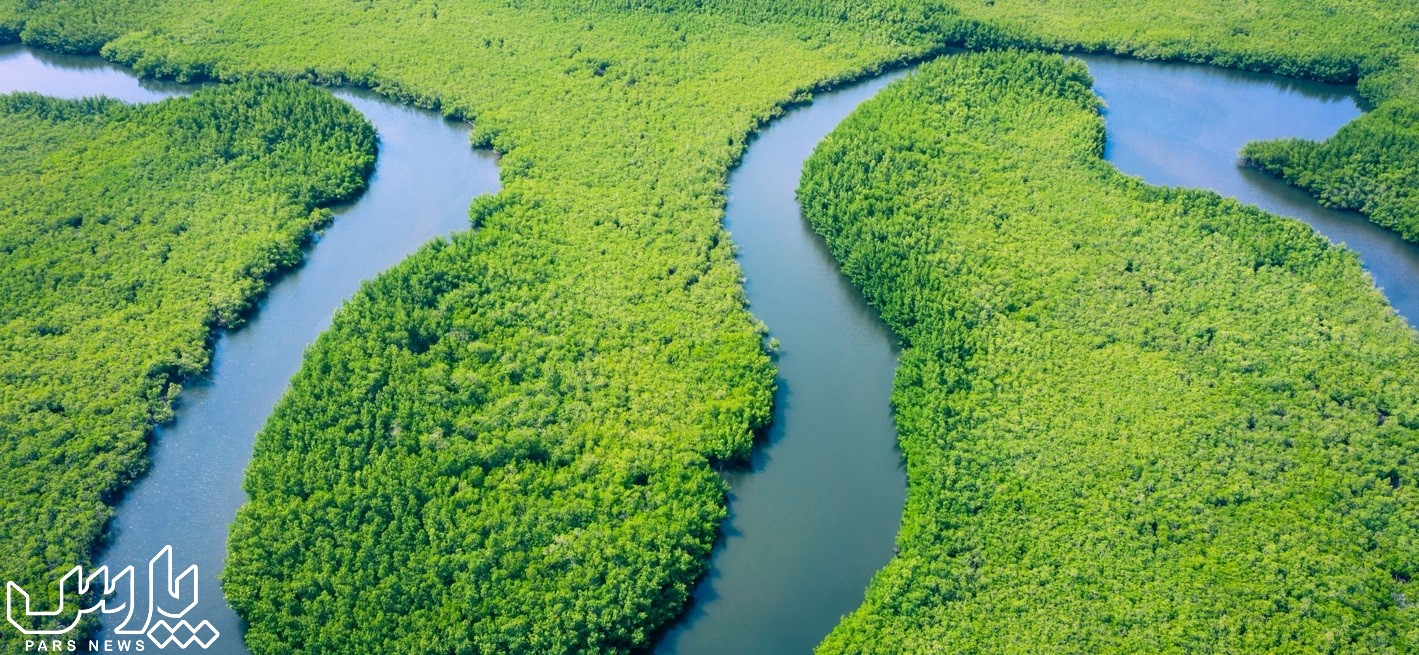 طبیعت زیبا - جنگل آمازون