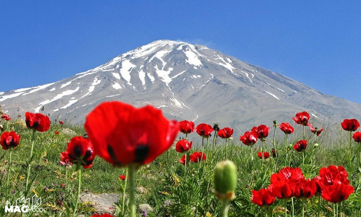 کوه دماوند - عکس قله دماوند