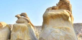 ساحل مکسر بندر مقام