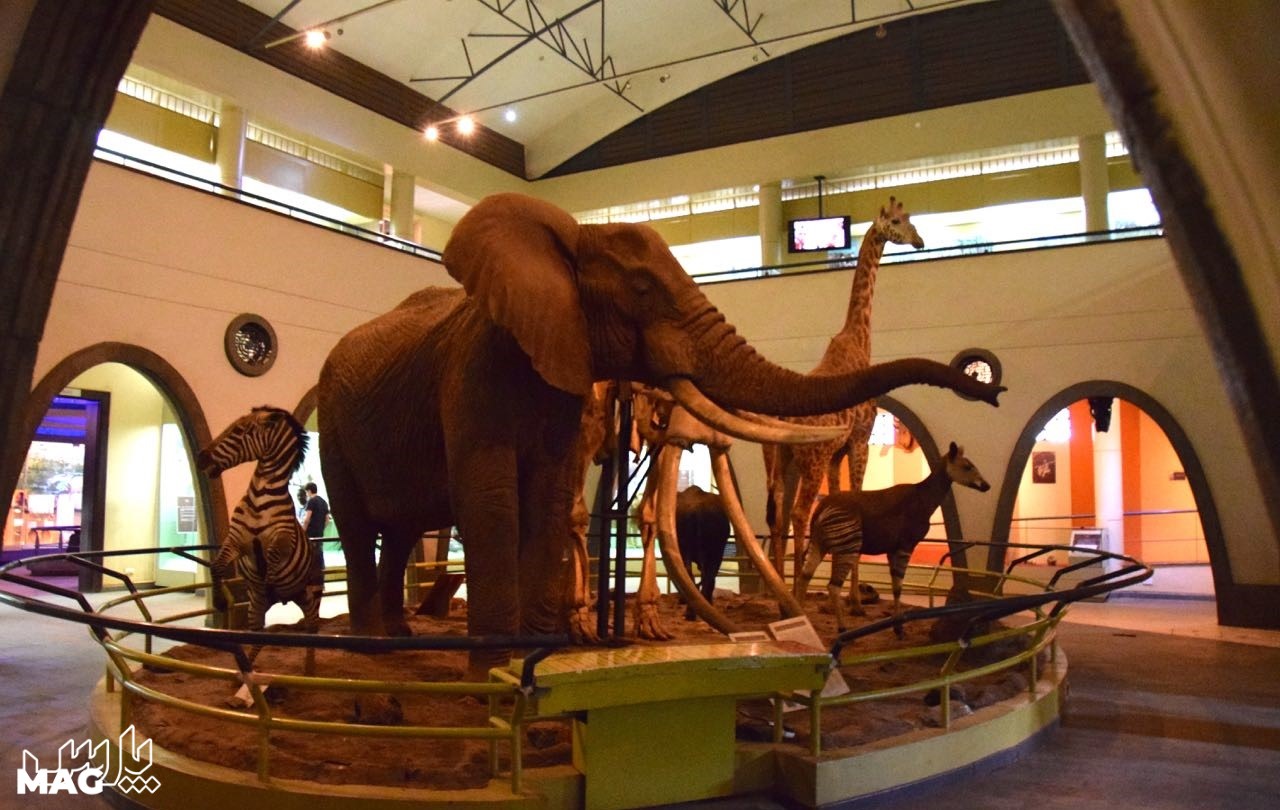 موزه ملی نایروبی - جاهای دیدنی نایروبی