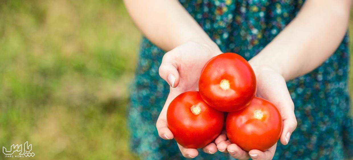 گوجه فرنگی - رفع تندی غذا