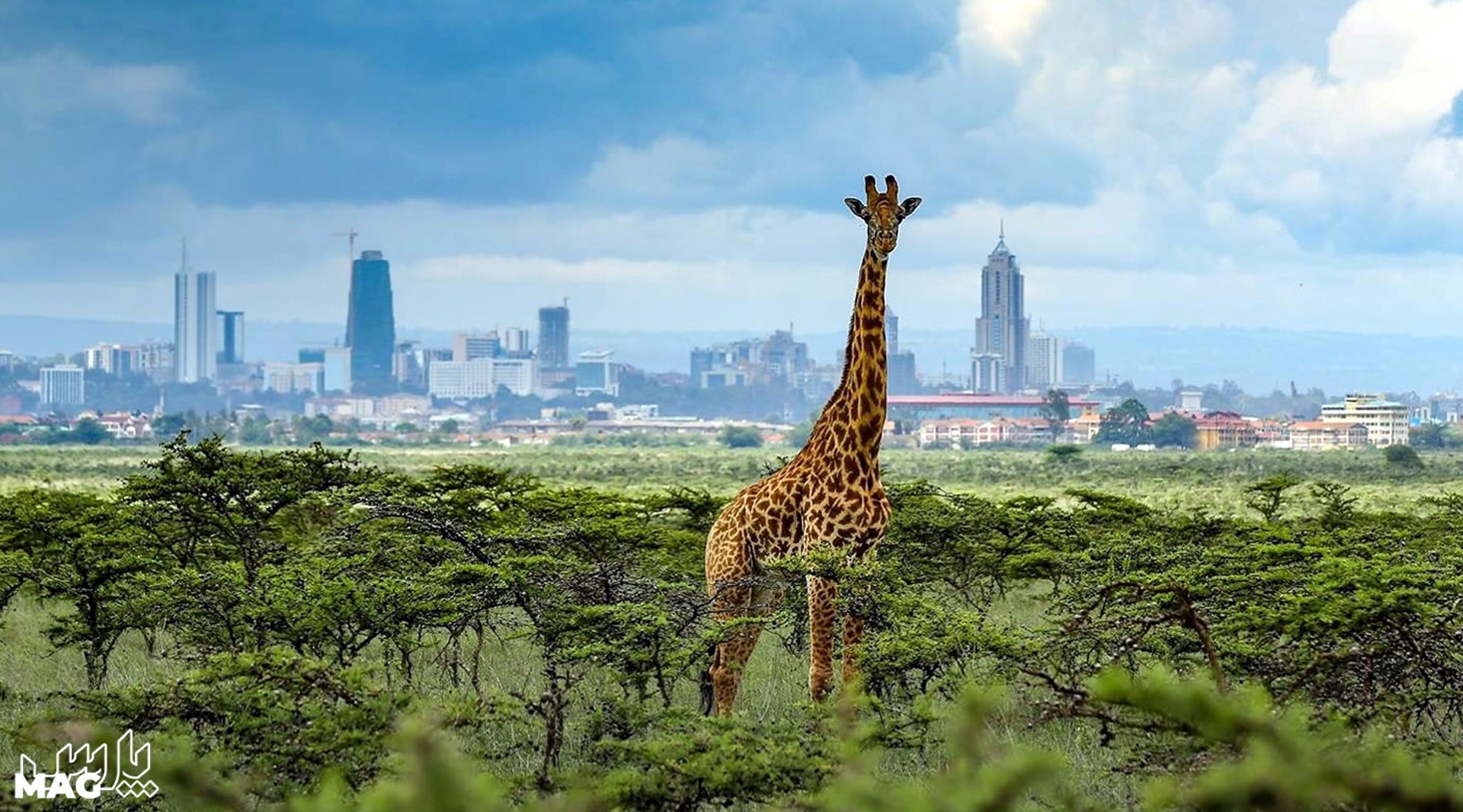 پارک ملی نایروبی - جاهای دیدنی نایروبی