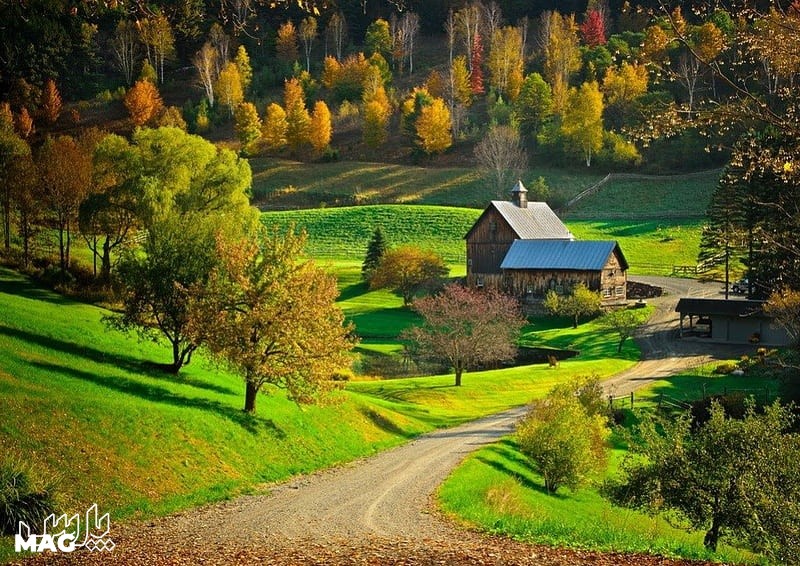 مزرعه - عکس پاییز برای پروفایل واتساپ