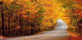 بهترین شهرهای ایران برای سفر در پاییز