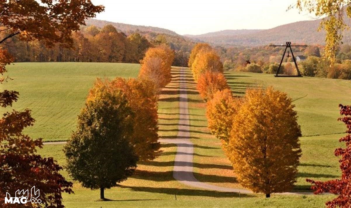 جاده ی زیبا - عکس پاییز برای پروفایل واتساپ