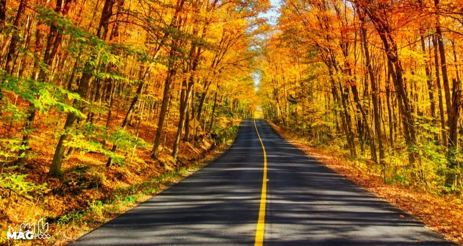 جاده ی پاییزی - عکس پاییز برای پروفایل واتساپ