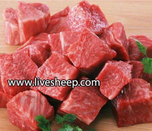 تفاوت گوشت گوسفند میش، بز، قوچ و بره