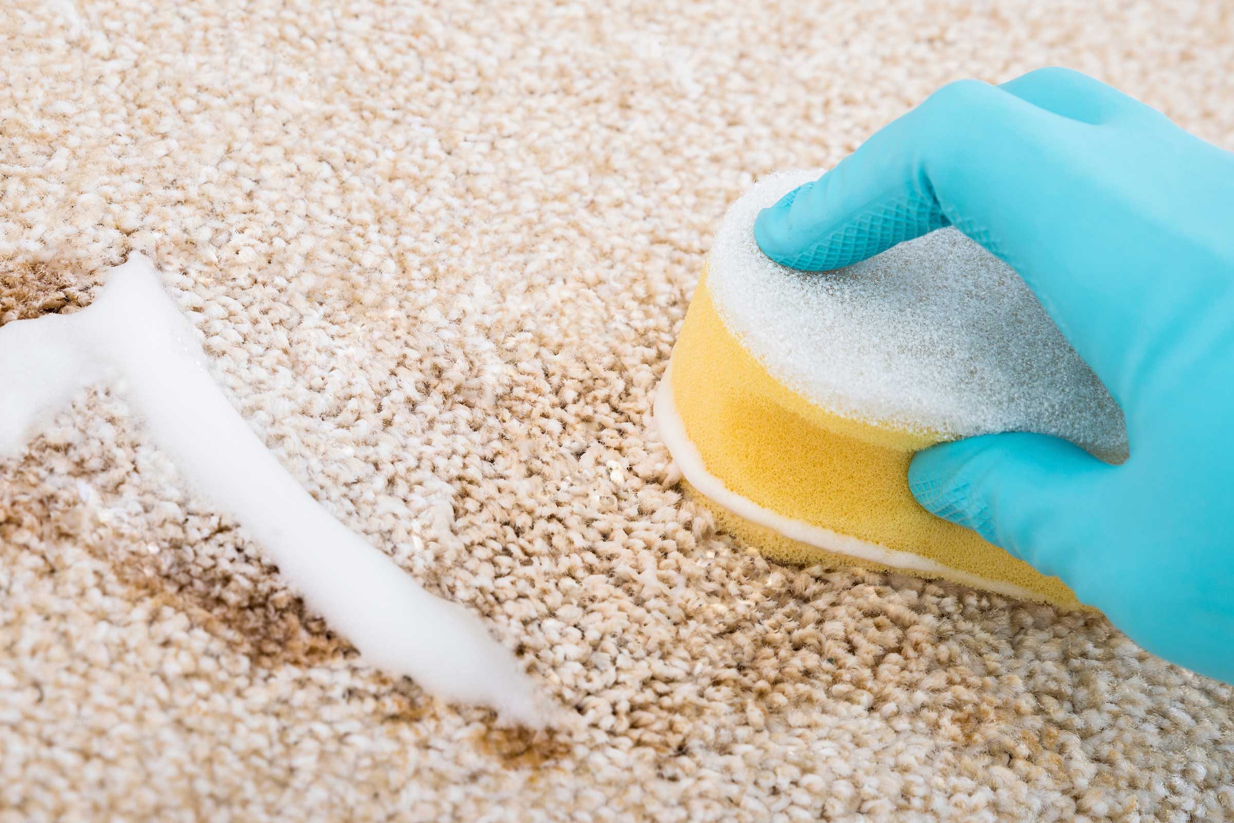 کاربرد های جوش شیرین برای از بین بردن لکه‌های سمج فرش