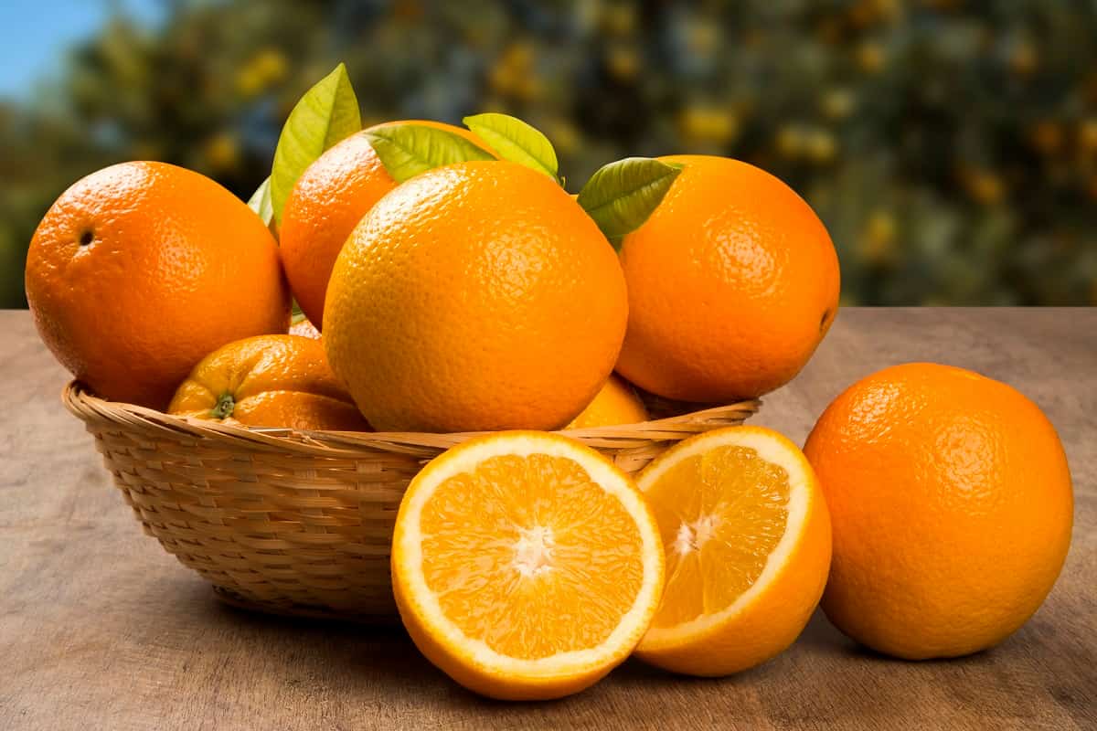 غذاهای مفید برای دیابت - پرتقال