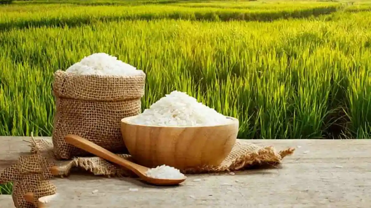 نگهداری برنج - برنج در کاسه چوبی