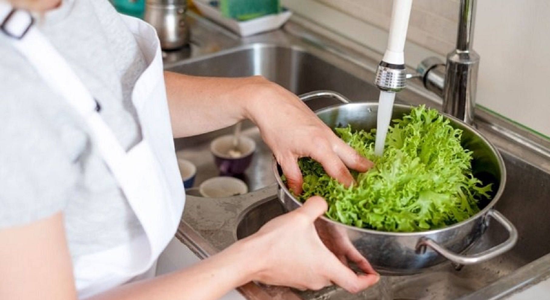 شستن کاهو - ضدعفونی کردن سبزی