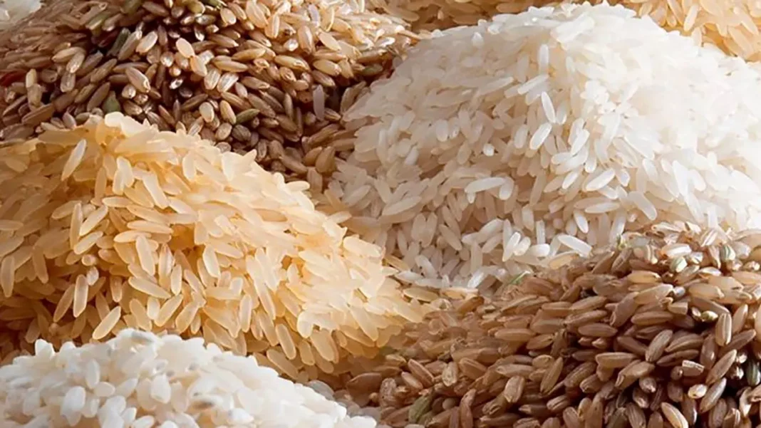 نگهداری برنج