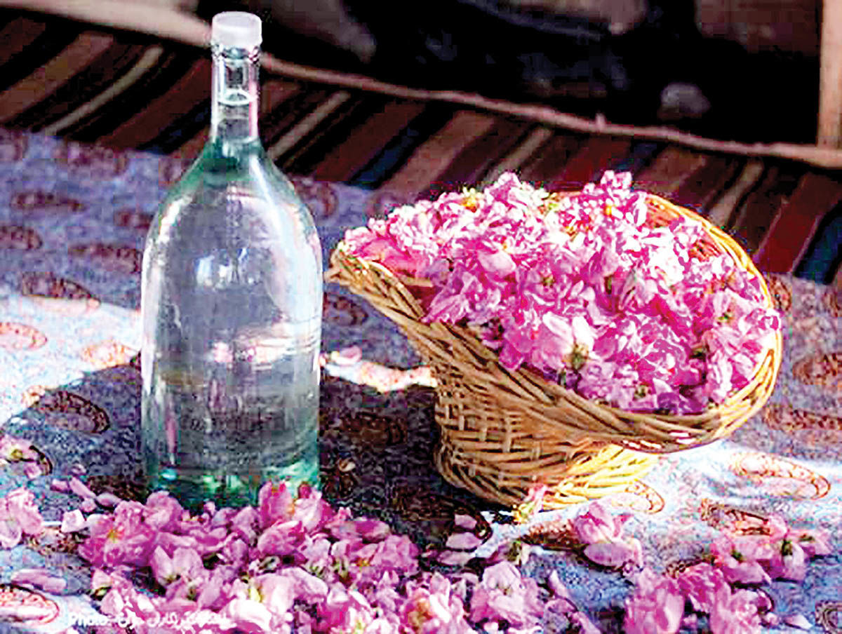 خواص گلاب - گلاب و گل محمدی