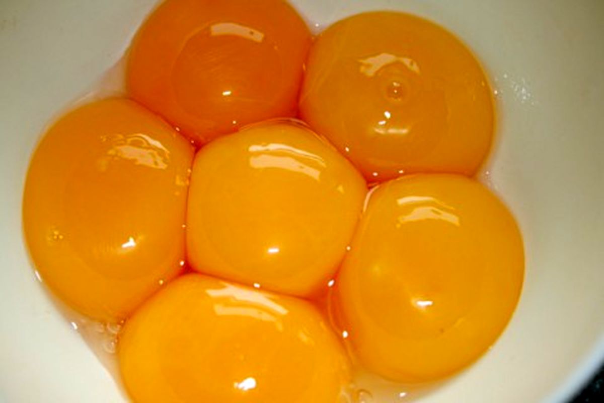 خواص زرده تخم مرغ - زرده های تخم مرغ