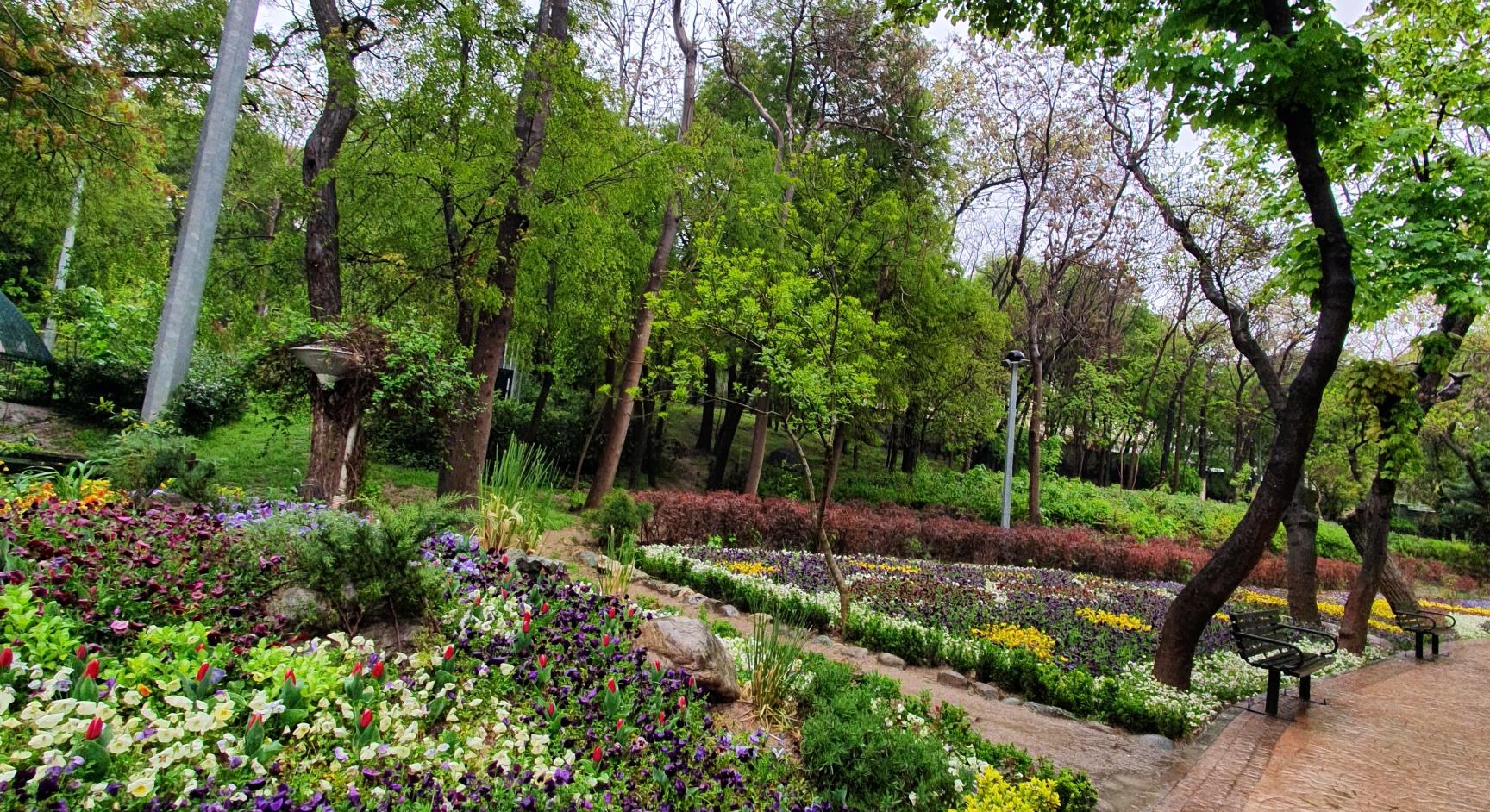 پارک قیطریه - مکان های دیدنی تهران در پاییز
