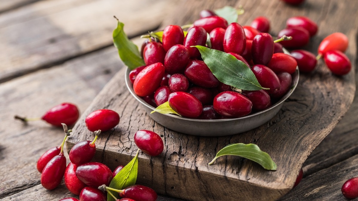 اخته - خواص زغال اخته