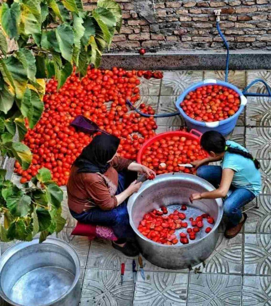 رب گوجه فرنگی خانگی - زن و بچه در حیاط