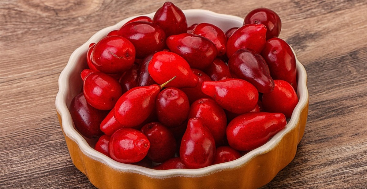 اخته خمس - خواص زغال اخته