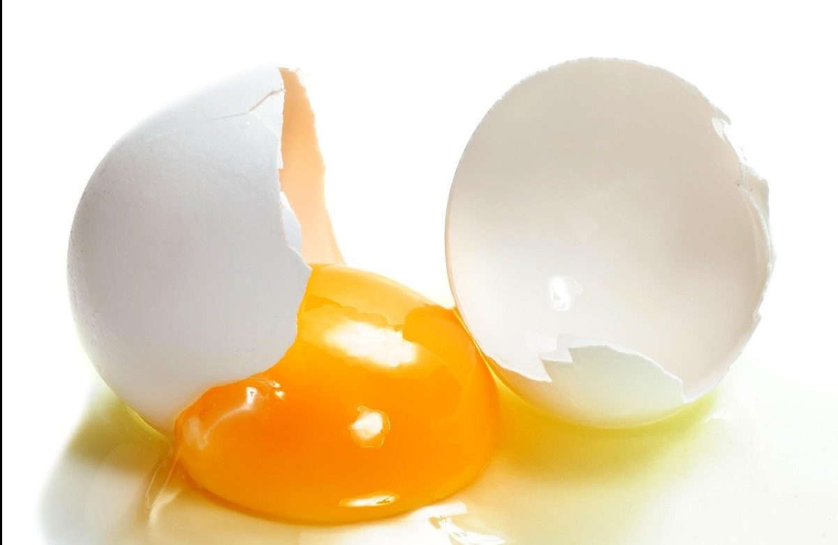 خواص زرده تخم مرغ - پوست تخم مرغ و زرده