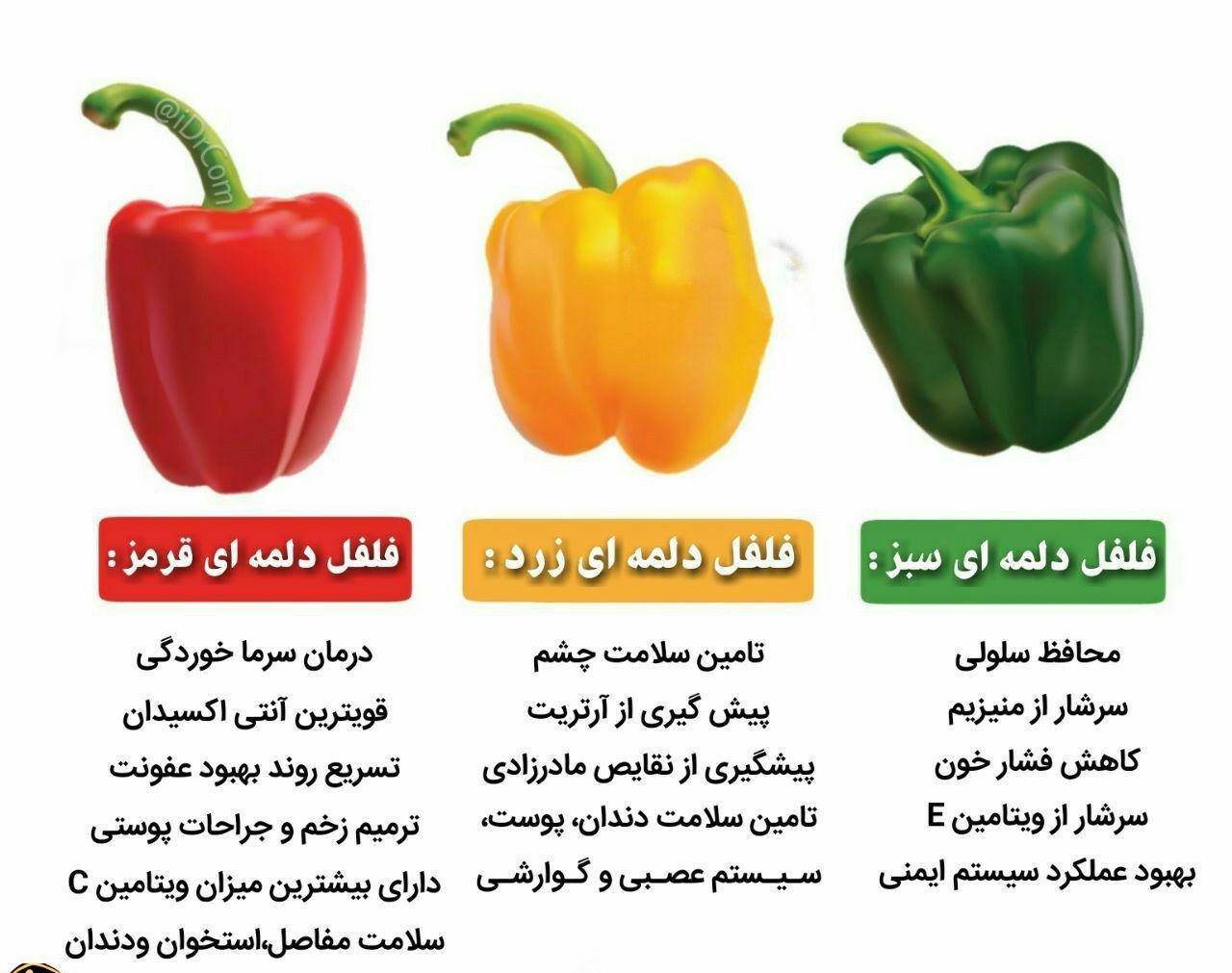 خواص فلفل دلمه - فواید