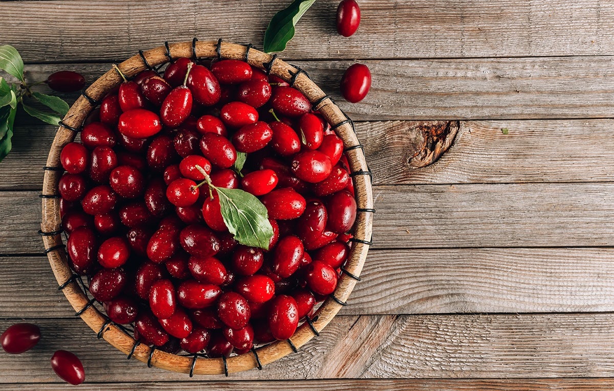 شربت زغال اخته - خواص زغال اخته