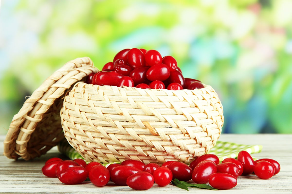 میوه ترش - خواص زغال اخته