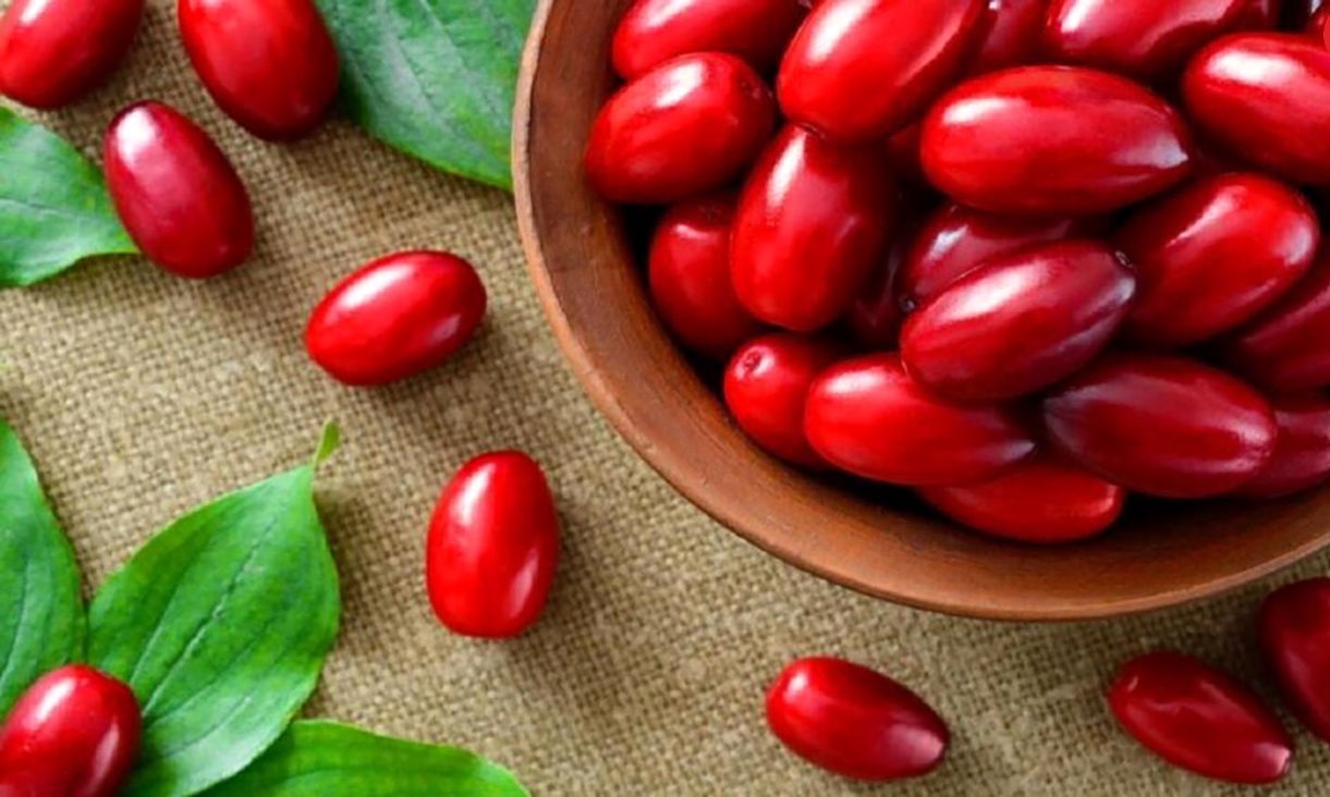 زغال اخته - خواص زغال اخته