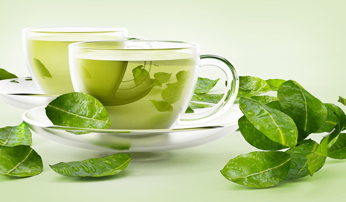 کالری چای سبز - نحوه دم کردن چای سبز