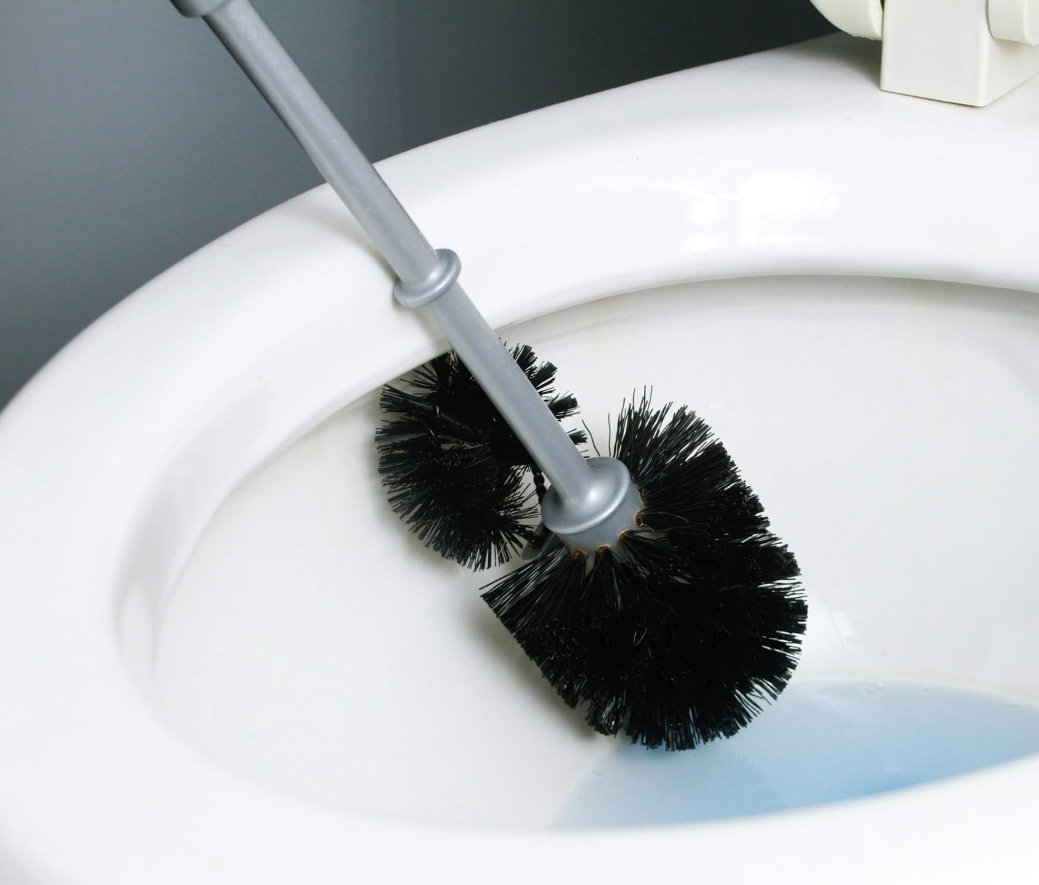 تمیز کردن توالت فرنگی - از بین بردن مگس فاضلاب