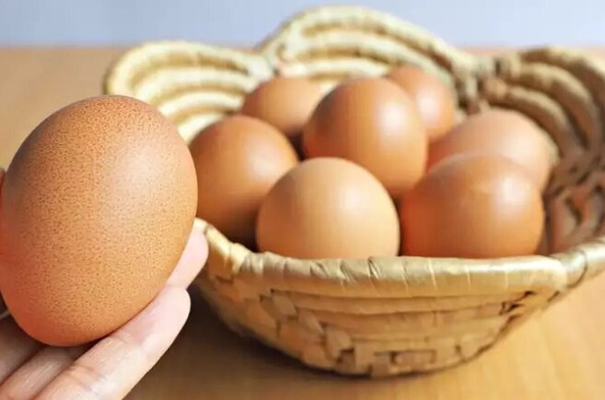 تخم مرغ قهوه ای - تشخیص تخم مرغ فاسد