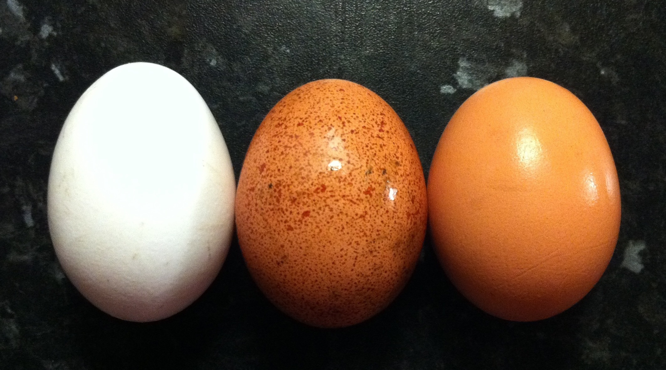 انواع تخم مرغ - تشخیص تخم مرغ فاسد